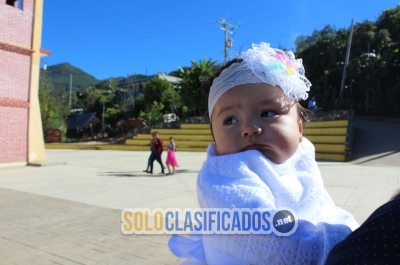 FOTO Y VIDEO PROFESIONAL BODAS XV AÑOS APASEO EL ALTO... 