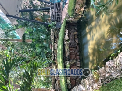 Selva Mar lotes Residenciales en Cancun Qroo... 