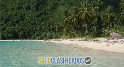 Solo Clasificados - Terrenos Lineales A La Playa Las Terrenas! (Republica Dominicana) - imagen: 5