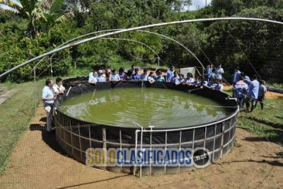 fabricacion de bolsas en tela de geomembrana... 