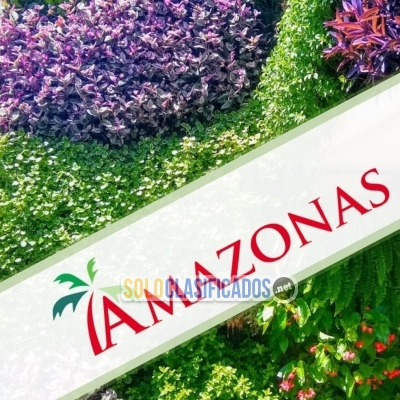 Amazonas Vertical Gardens Jardines Verticales... 