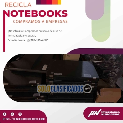 Solo Clasificados - ¡Reciclaje + Acción = Éxito con mundo verde! - imagen: 8