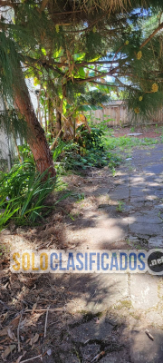 Solo Clasificados - Stunning                     Landscaping - imagen: 2