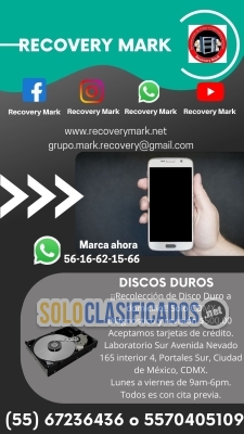 SERVICIO PROFESIONAL ESPECIALIZADO RECOVERY MARK... 