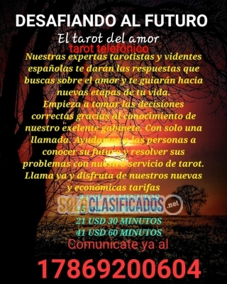 tarot y videncia brindado por verdaderas profesionales... 