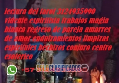 Solo Clasificados - lectura del tarot en chía  3124935990 amarres de amor consultas espirituales vidente espiritista lectura del tarot - imagen: 1