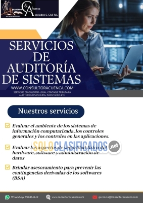 REALIZAMOS SERVICIO DE  AUDITORÍA DE SISTEMAS... 