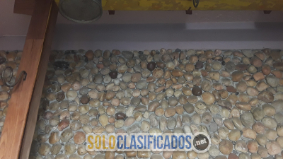 Solo Clasificados - Vendo casa granja comercial 880 Mtrs2 Bqto Vzla - imagen: 16