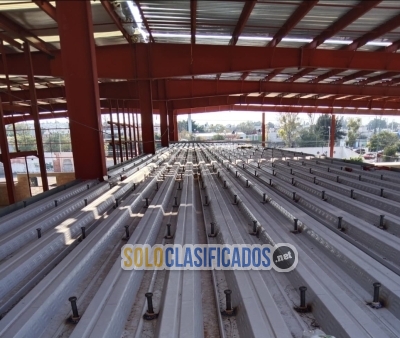 Solo Clasificados - perneadora nelson en renta por día en Estado de México - imagen: 4