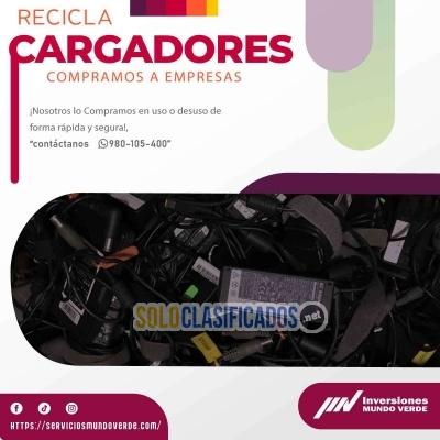 Solo Clasificados - ¡RECICLA GANA Y SONRÍE CON MUNDO VERDE! - imagen: 8