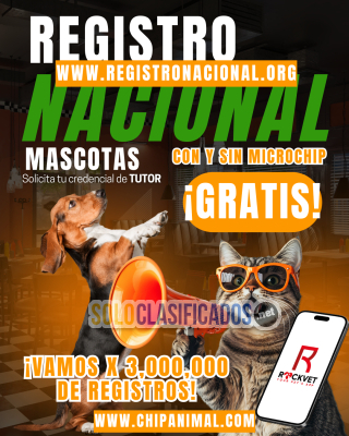 Collar NFC ROCKVET MEXICO: Seguridad Inteligente para Mascotas... 