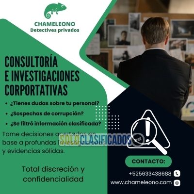 Consultoría e investigaciones corporativas... 