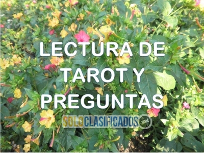 Lectura de tarot, pregunta lo que gustes. English spoken... 