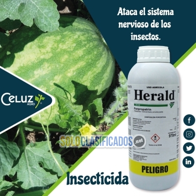 HERLAD 375 CE (producto para el campo)... 