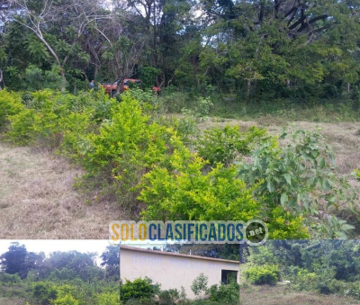 Solo Clasificados - Comprar Financiar e Invertir en todo el pais!  (Toda La Republica Dominicana) - imagen: 20