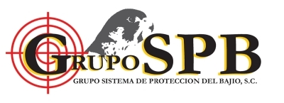 Servicios de Seguridad Privada en la Cdmx... 