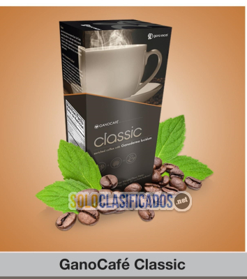 Gano Café Classic Café negro con extracto de ganoderma...