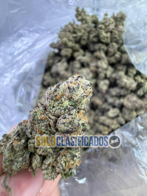 Solo Clasificados - BUY 99.99% GBL,GHB,BDO,MDMA, DMT::WhatsApp..+1(479)335-9634 - imagen: 1