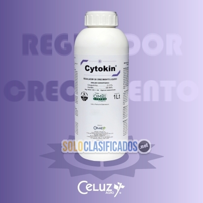 Solo Clasificados - CYTOKIN - imagen: 1