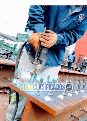 Solo Clasificados - Perneadora nelson 6000 en renta en Querétaro - imagen: 4