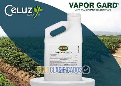 Solo Clasificados - VAPORGARD (producto para el campo) - imagen: 1