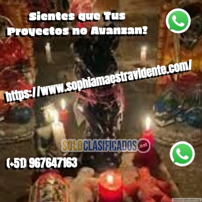 SIENTES QUE TUS PROYECTOS NO AVANZAN ??  CONTACTANOS... 