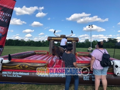 Solo Clasificados - Maltez Entertainment - imagen: 3