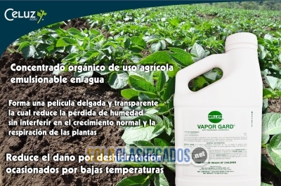 VAPORGARD (producto para el campo)... 