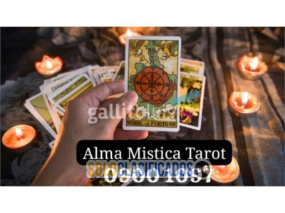 Solo Clasificados - Tarot 09001097: Soluciones Definitivas para tus Crisis - imagen: 2