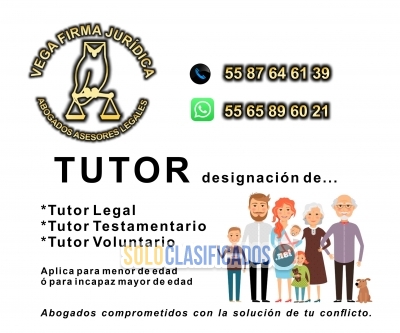 DESIGNACION DE TUTOR ASESORIA LEGAL 55 87 64 61 39... 