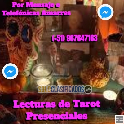 LECTURAS DE TAROT PRESENCIALES POR MENSAJE O TELEFONICOS AMARRES... 