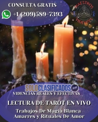 Videntes Expertos en Tarot Rituales y Trabajos Con Magia Blanca... 