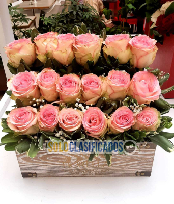 Solo Clasificados - Arreglos Florales Santo Domingo! (Escribir via whatsapp) - imagen: 11