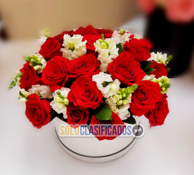 Solo Clasificados - Arreglos Florales Santo Domingo! (Escribir via whatsapp) - imagen: 5