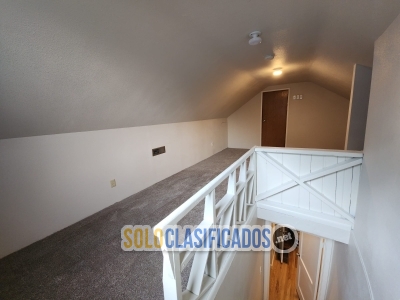 Solo Clasificados - Concrete and Painting - imagen: 19