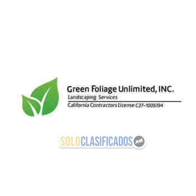 Green        Foliage     Unlimited   inc...