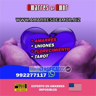 WHATSAPP: +51 992277117 VIDENTE CURANDERO Amarres de Amor... 