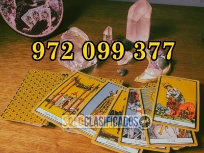 Solo Clasificados - Resolvemos dudas sobre negocios, trabajo y dinero - imagen: 1