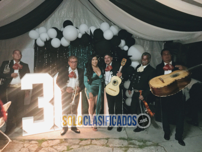 Solo Clasificados - Mariachi Los Potrillos en Los Angeles CA - imagen: 3