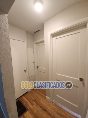 Solo Clasificados - Concrete and Painting - imagen: 27