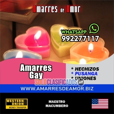 +51 992277117 MAESTRO MACUMBERO  AMARRES GAY... 