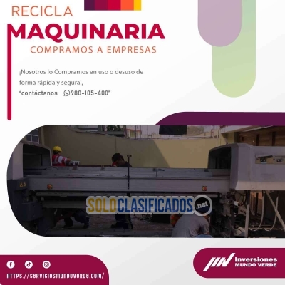 Solo Clasificados - ¡Reciclaje + Acción = Éxito con mundo verde! - imagen: 5