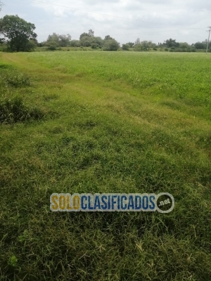 Se vende excelente Rancho agrícola en Silao Gto... 