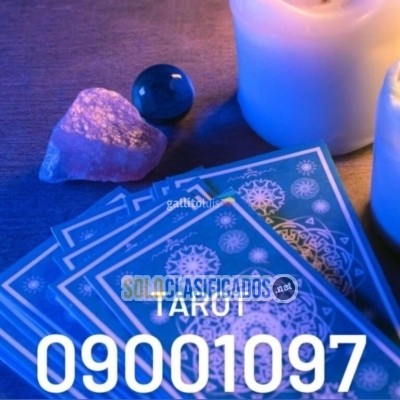 Solo Clasificados - CONSULTAS DE TAROT DESDE ARTIGAS LAS 24 HORAS - imagen: 3