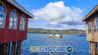 Solo Clasificados - Explora el sur con Alternatur: Los mejores tours en Puerto Montt y la Patagonia Norte - imagen: 1
