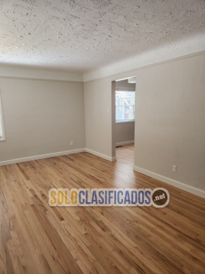 Solo Clasificados - Concrete and Painting - imagen: 14