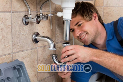 PLOMEROS EN LA COLINA CAMPESTRE 3147535146...