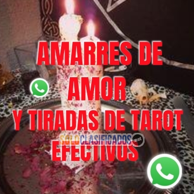 AMARRES DE AMOR Y TIRADAS DE CARTAS /////... 