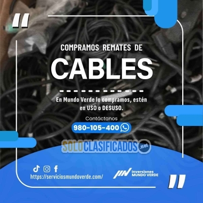 Solo Clasificados - Empresas y hogares responsables eligen reciclar - imagen: 2