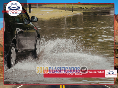 Solo Clasificados - Brake Noise After Driving Through Water: What to Check - imagen: 1
